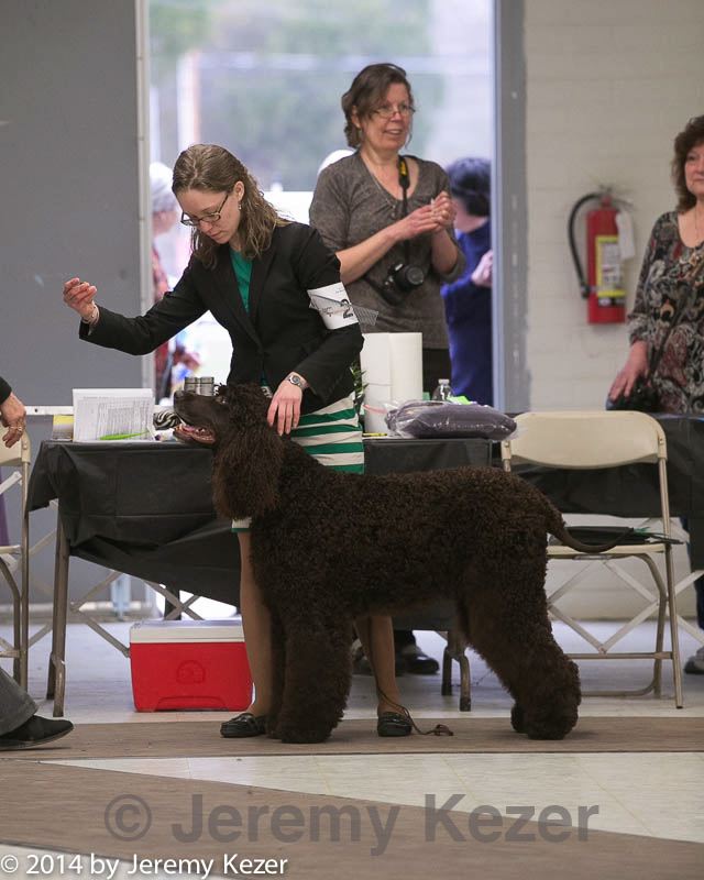 20140302-msda-0155.jpg