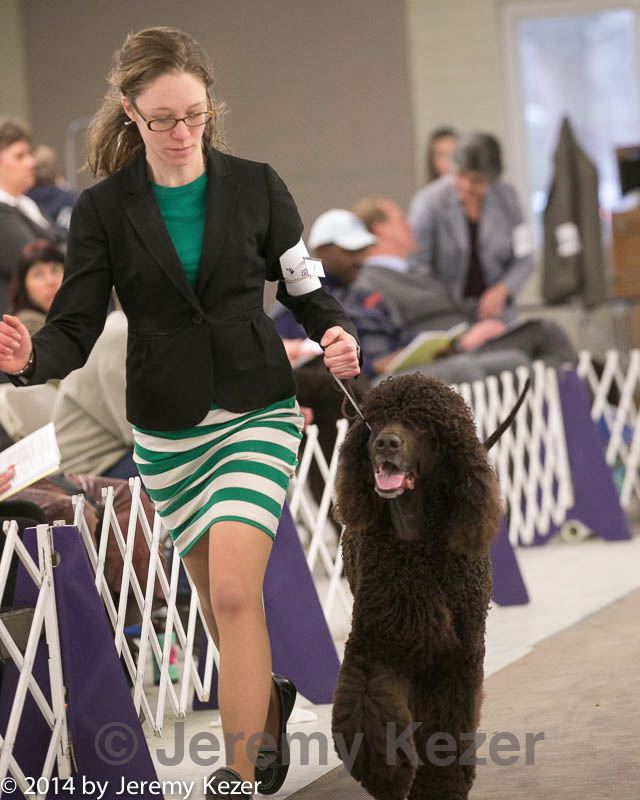 20140302-msda-0162.jpg