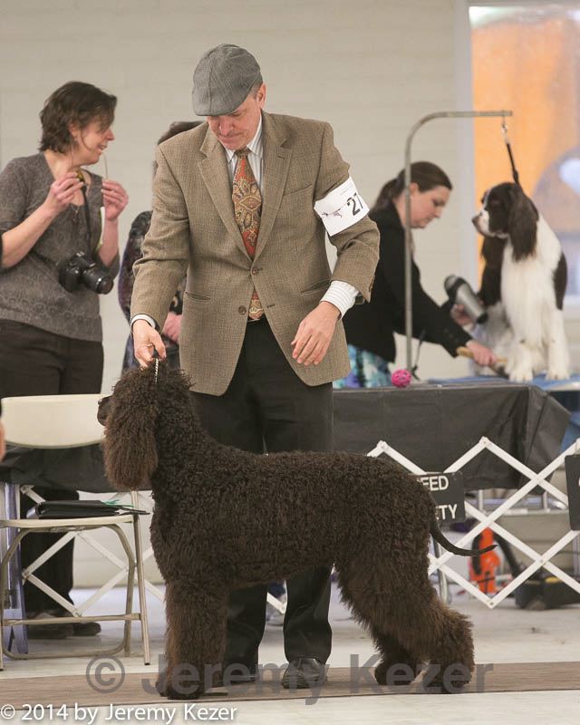 20140302-msda-0173.jpg