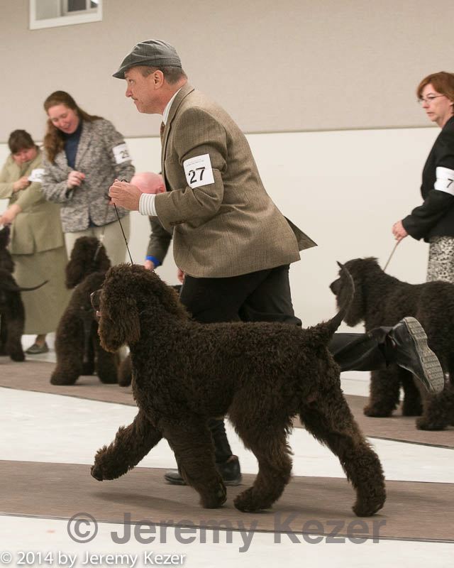 20140302-msda-0176.jpg