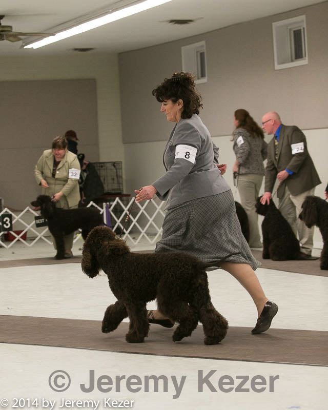 20140302-msda-0221.jpg