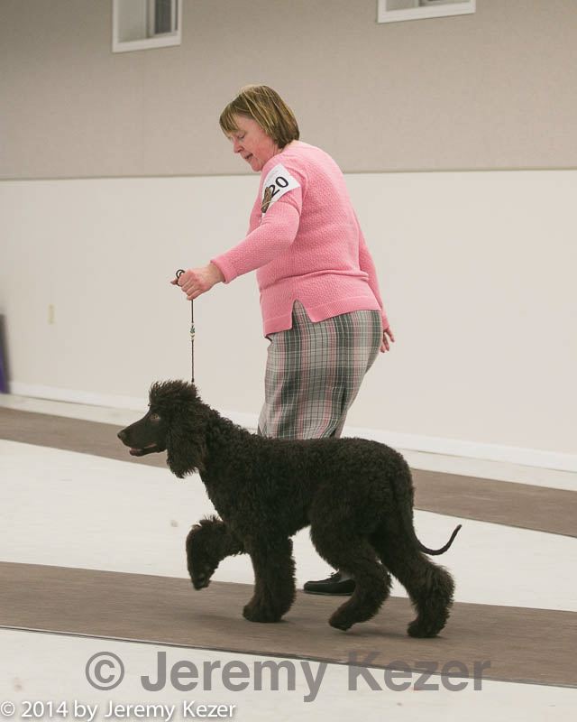 20140302-msda-0058.jpg