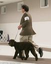 20140302-msda-0089