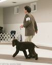 20140302-msda-0091