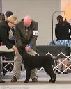 20140302-msda-0093