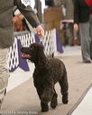 20140302-msda-0101