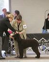 20140302-msda-0104