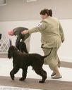 20140302-msda-0106