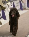 20140302-msda-0109