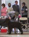 20140302-msda-0117
