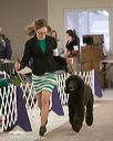 20140302-msda-0135