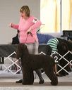 20140302-msda-0003