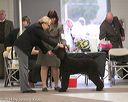 20140302-msda-0020