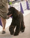 20140302-msda-0023