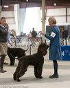 20140316-nesda-0128