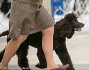 20140316-nesda-0049
