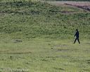 20140425-td-0061