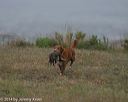 20140426-wcl-0066