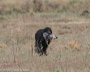 20140426-wcxl-0006
