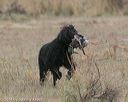 20140426-wcxl-0008