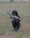 20140426-wcxl-0040