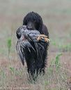 20140426-wcxl-0046