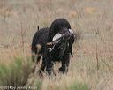 20140426-wcxl-0052