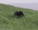 20140426-wd-0014