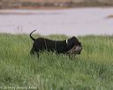 20140426-wd-0033