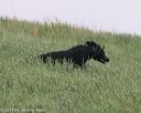 20140426-wd-0042