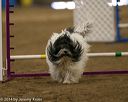 20140427-ag-0354
