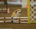 20140427-ag-0372
