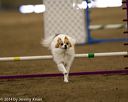 20140427-ag-0375
