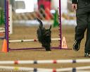 20140427-ag-0377
