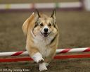 20140427-ag-0393