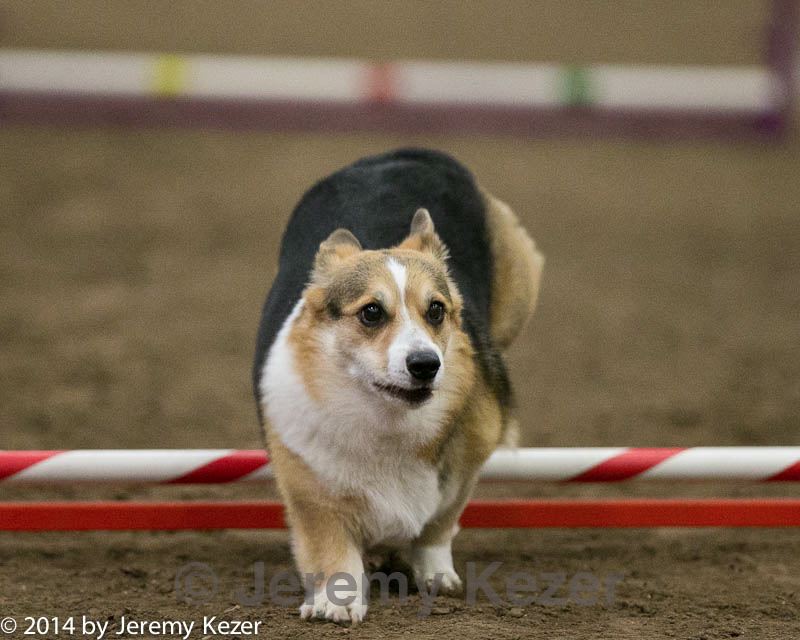 20140427-ag-0389.jpg