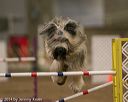20140427-ag-0412