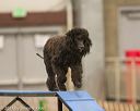 20140427-ag-0039