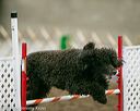 20140427-ag-0041