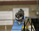 20140427-ag-0067