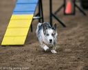 20140427-ag-0074