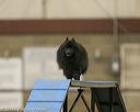 20140427-ag-0077