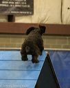 20140427-ag-0220