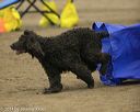 20140427-ag-0228