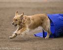 20140427-ag-0253