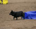 20140427-ag-0261