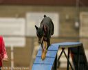 20140427-ag-0125