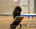 20140427-ag-0150
