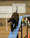 20140427-ag-0157
