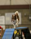 20140427-ag-0164